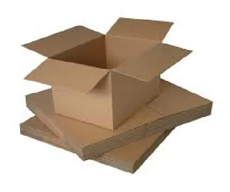 Carton Packaging